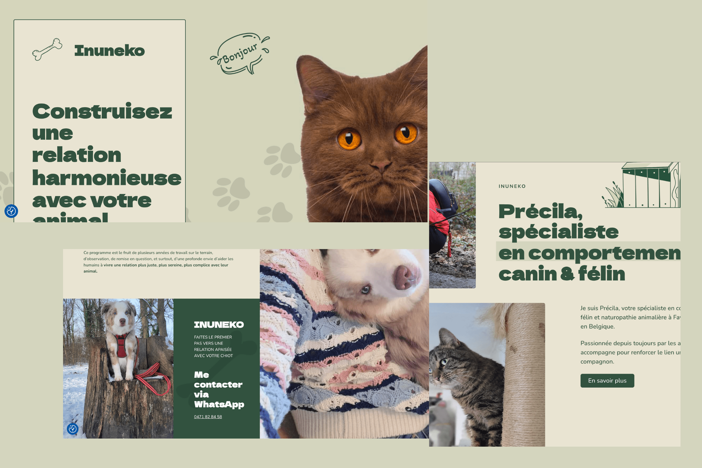 a collage of images of animals